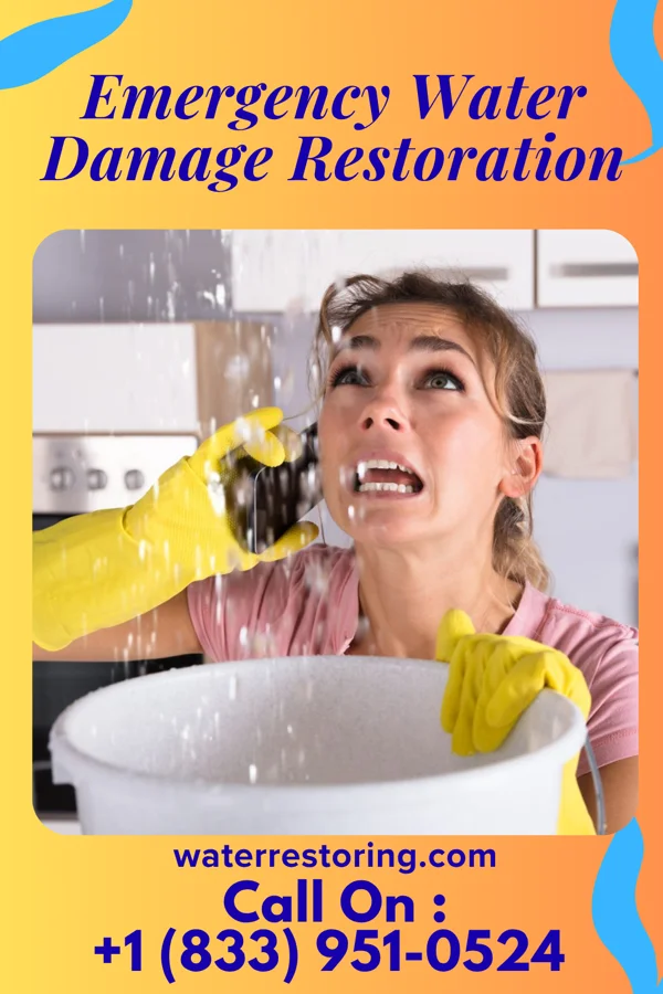 Emergency Water Damage Restoration in Manila, UT
